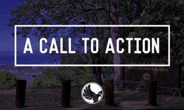 A Call To Action