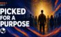 Picked for a Purpose — July 5 thumbnail